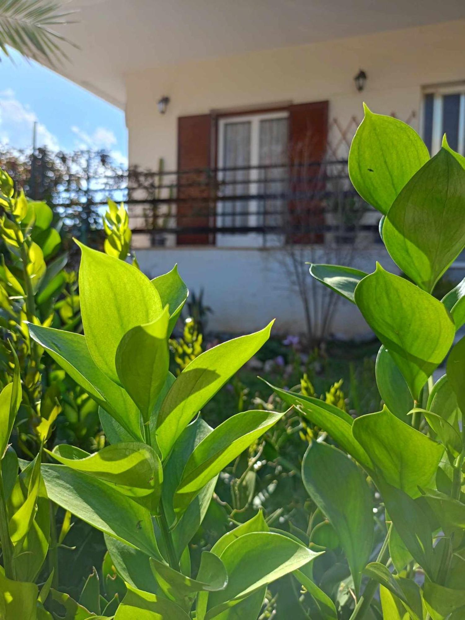 Serene Country House Villa Nafplio Exterior photo